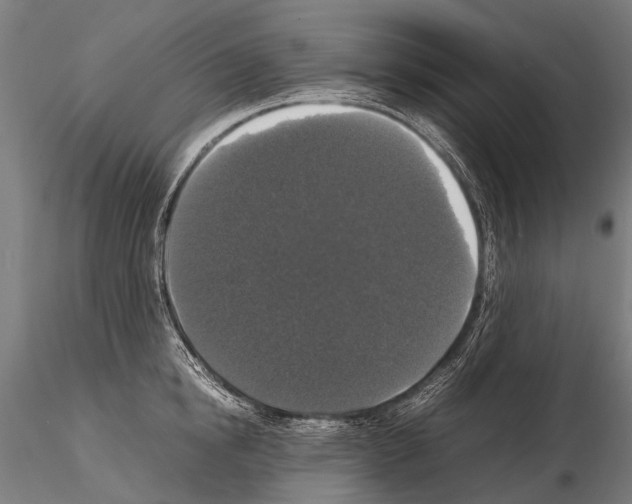 X0000115120854200912081343