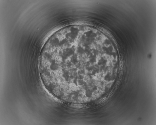 X0000115120855200912081343