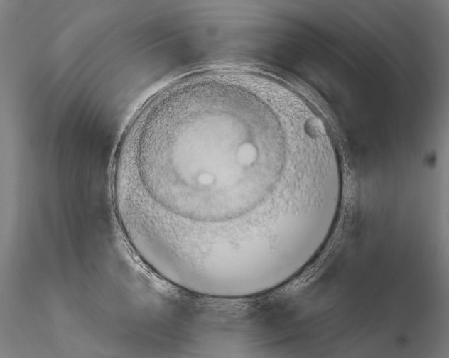 X0000115120856200912081343