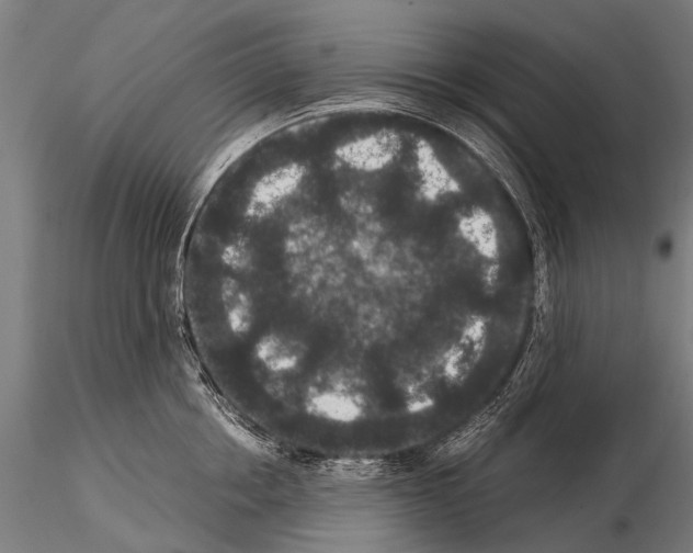 X0000115120858200912081343