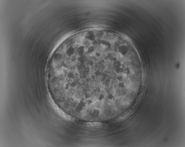 X0000115120859200912081343