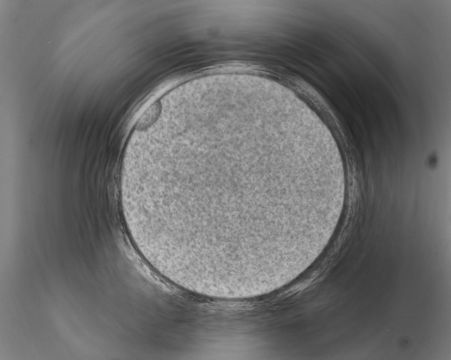 X0000115120860200912081343