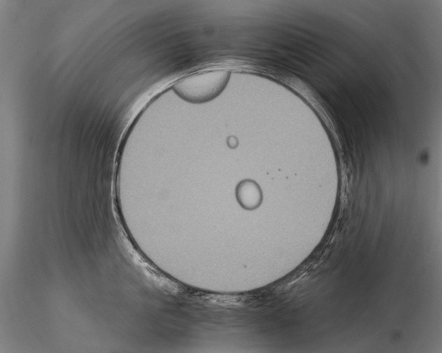 X0000115120861200912081343