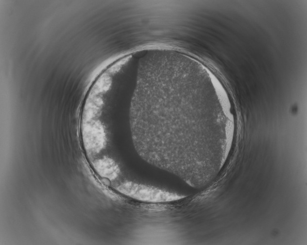 X0000115120862200912081343