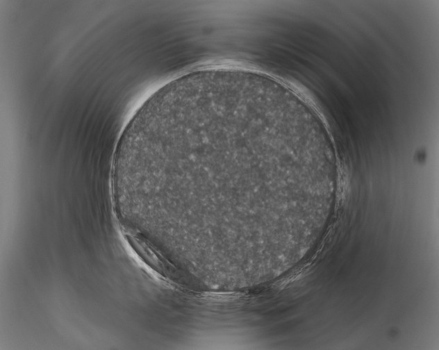 X0000115120863200912081343