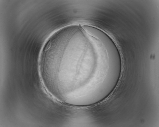 X0000115120864200912081343