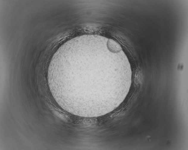 X0000115120865200912081342