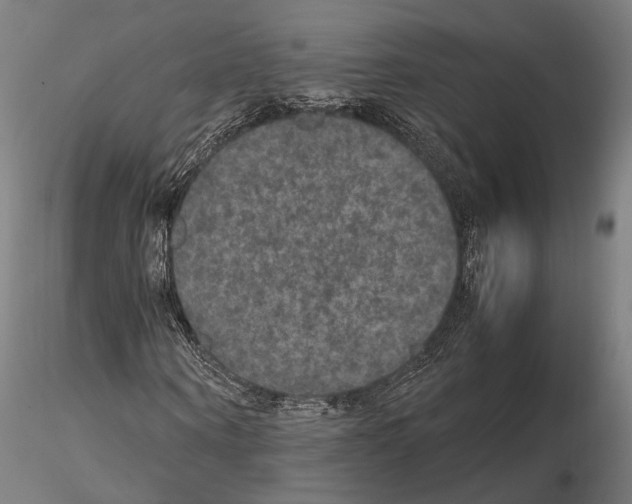 X0000115120866200912081342