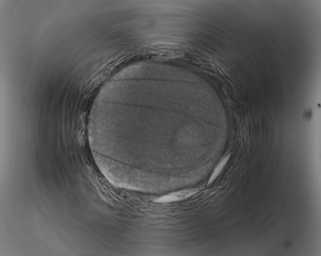 X0000115120868200912081342