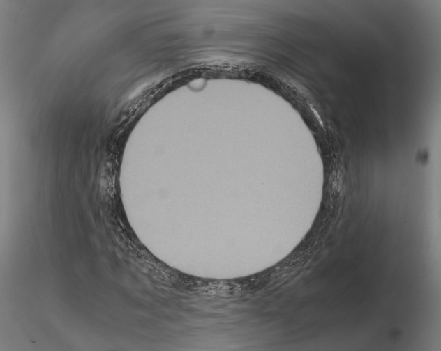 X0000115120869200912081342