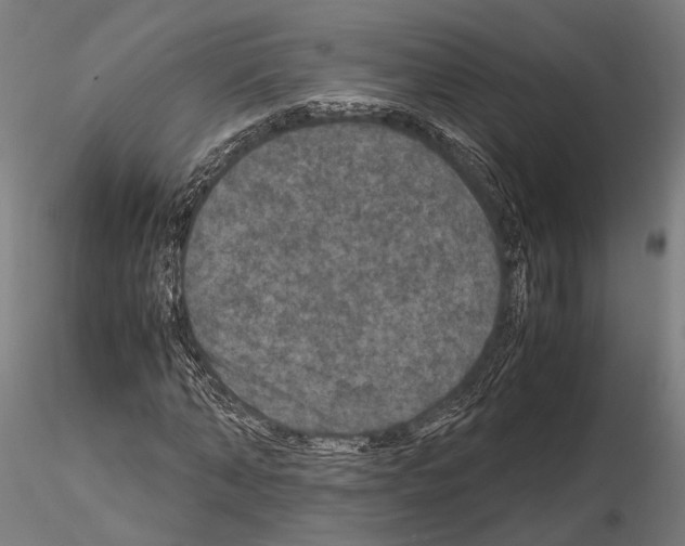 X0000115120870200912081342