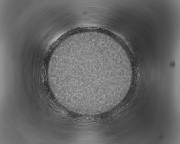 X0000115120871200912081342