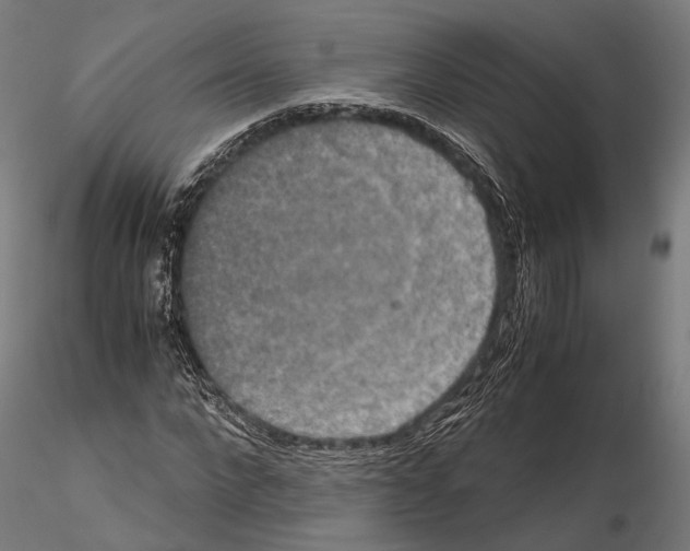 X0000115120872200912081342