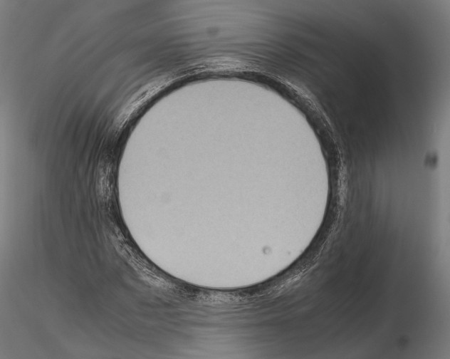 X0000115120873200912081342