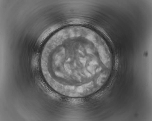 X0000115120874200912081342