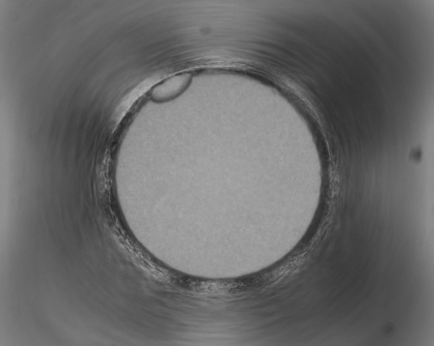 X0000115120875200912081342