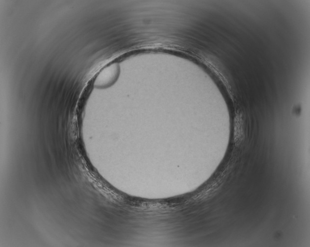 X0000115120876200912081342