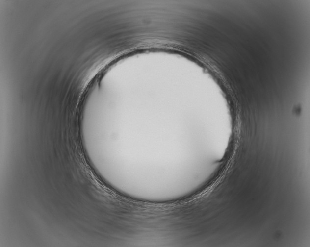 X0000115120877200912081342