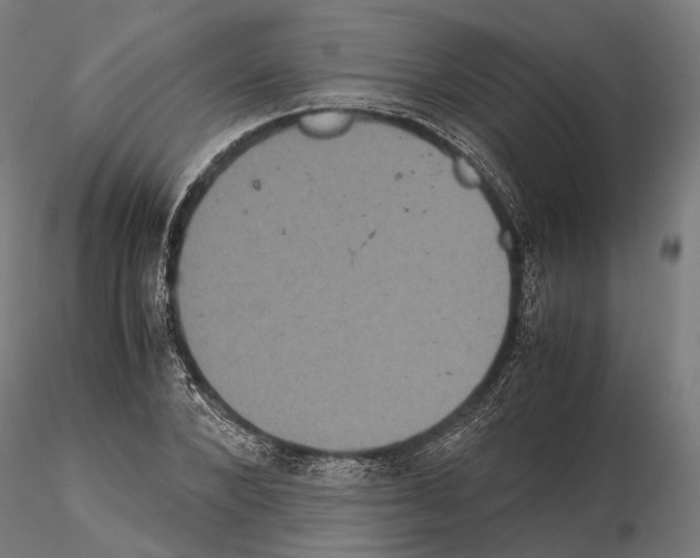 X0000115120880200912081342