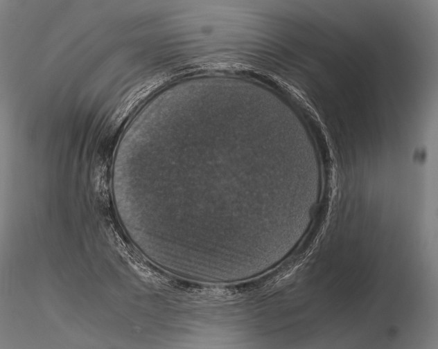 X0000115120881200912081342