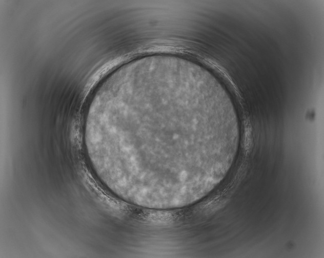 X0000115120882200912081342