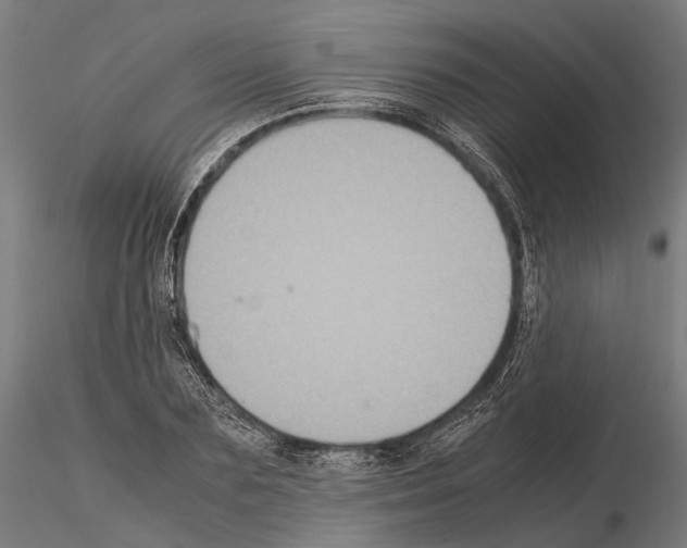 X0000115120883200912081342