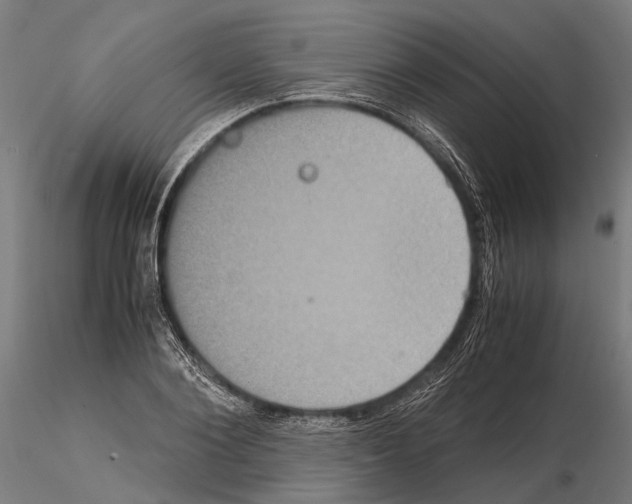 X0000115120884200912081342