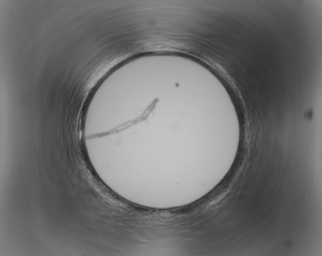 X0000115120885200912081342