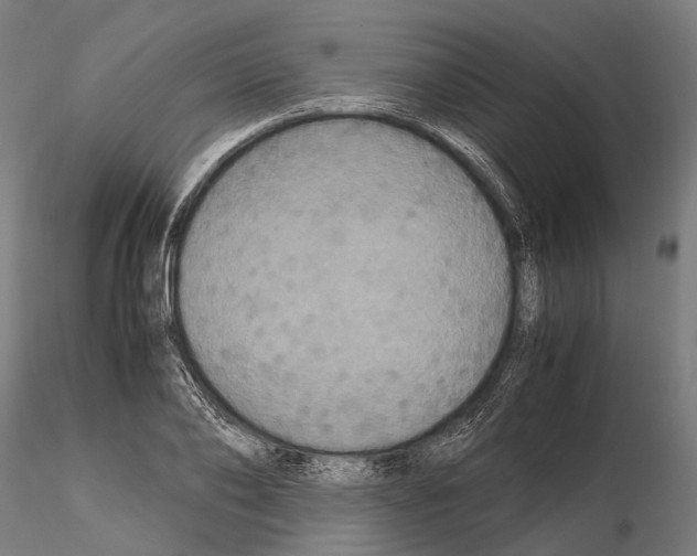 X0000115120886200912081342