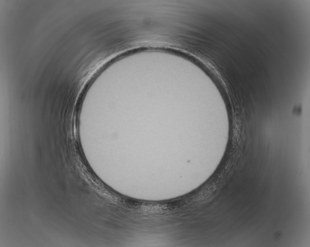 X0000115120887200912081342