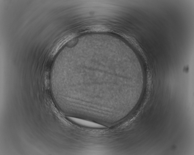 X0000115120889200912081342