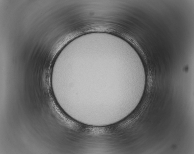 X0000115120890200912081342