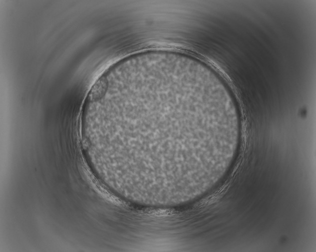 X0000115120891200912081342