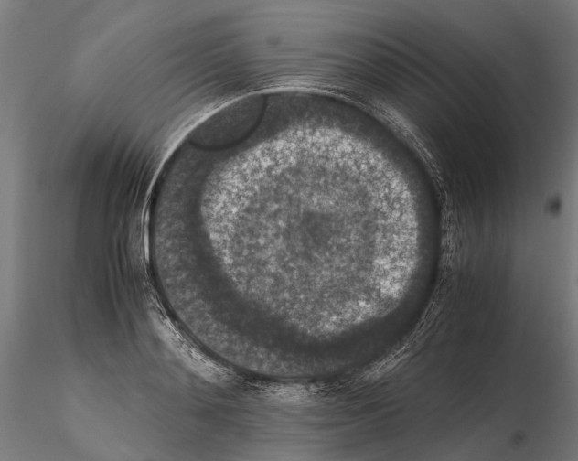 X0000115120892200912081342