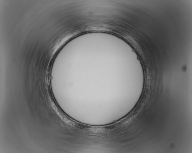 X0000115120893200912081342