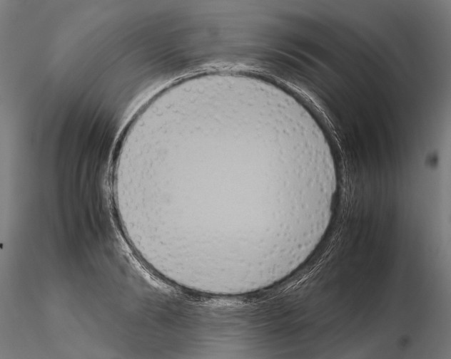 X0000115120894200912081342