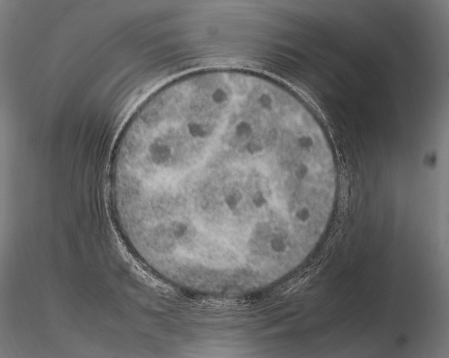 X0000115120895200912081342