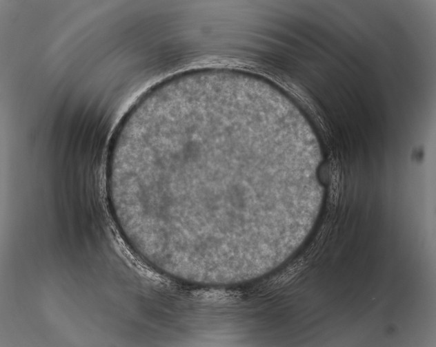 X0000115120896200912081342