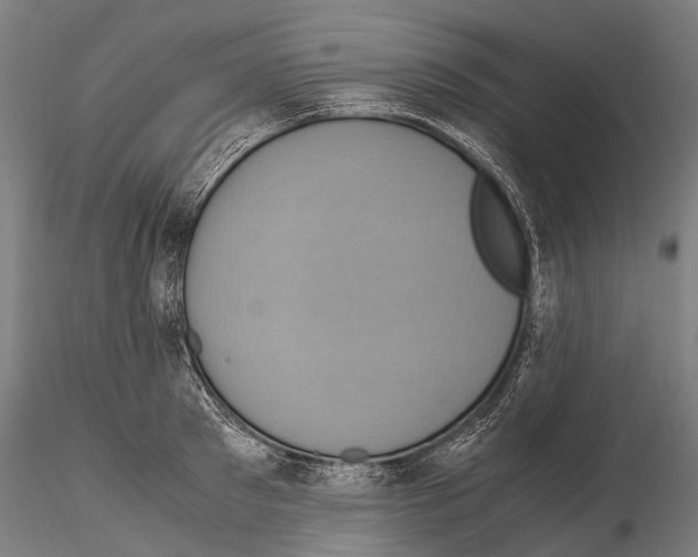 X0000115120897200912081342