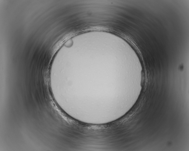 X0000115120898200912081342