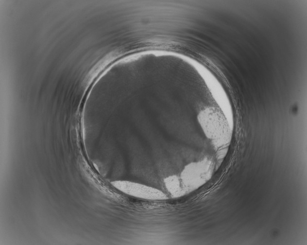 X0000115120899200912081342