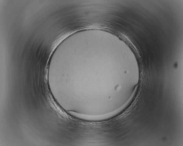 X0000115120900200912081341