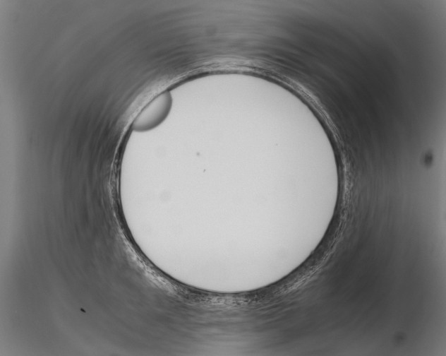 X0000115120901200912081341