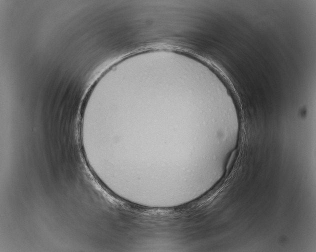 X0000115120902200912081341