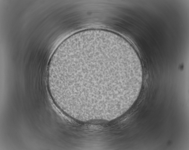 X0000115120903200912081341