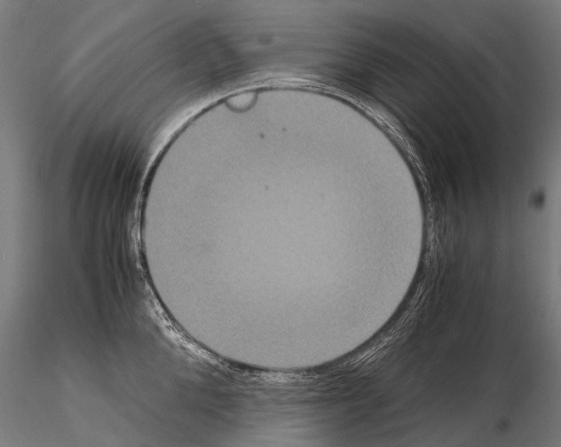 X0000115120904200912081341