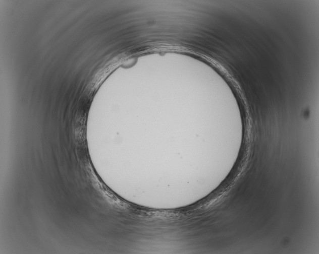 X0000115120905200912081341