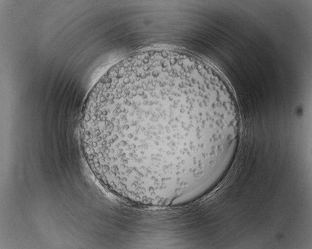 X0000115120906200912081341