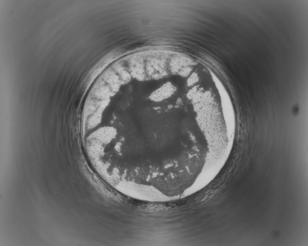 X0000115120907200912081341