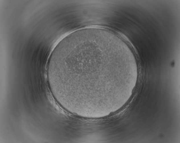 X0000115120908200912081341